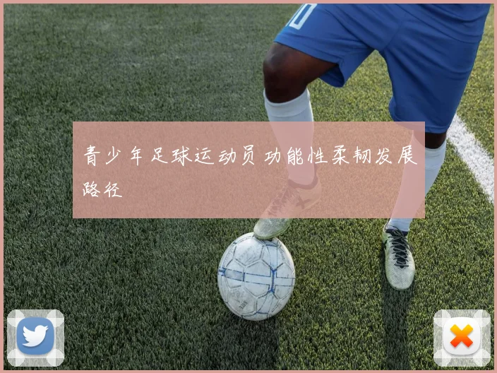 青少年足球运动员功能性柔韧发展路径