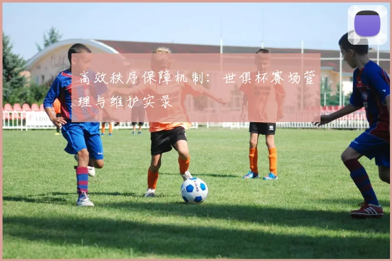 高效秩序保障机制：世俱杯赛场管理与维护实录