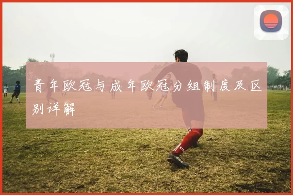 青年欧冠与成年欧冠分组制度及区别详解