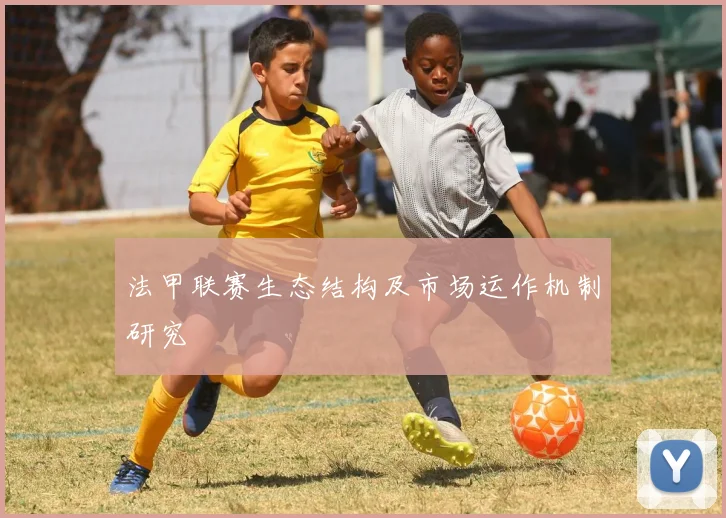 法甲联赛生态结构及市场运作机制研究