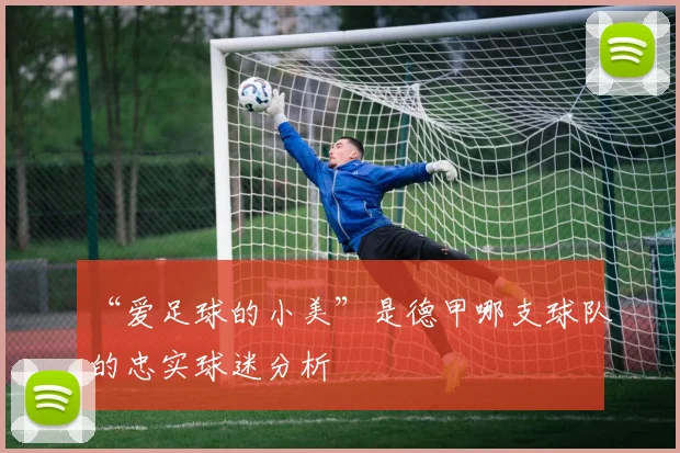 “爱足球的小美”是德甲哪支球队的忠实球迷分析