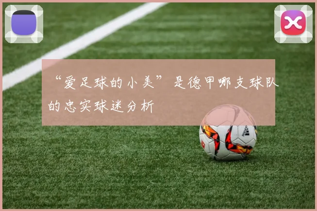 “爱足球的小美”是德甲哪支球队的忠实球迷分析